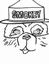 Coloring Bear Smokey Pages Popular Library Clipart Coloringhome Printable Sheet sketch template