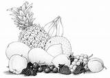 Frutta Colorear Obst Disegno Fruta Frutas Malvorlage Secundaria Ausmalbild Variadas Schulbilder Saludos Diurna Educima Scarica Grandes sketch template