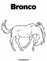 Broncos Pages Coloring Boise State Bronco Template sketch template