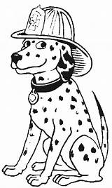 Firefighter Coloring4free Dalmatian sketch template