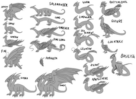 types  dragons fandom types  dragons fantasy creatures art