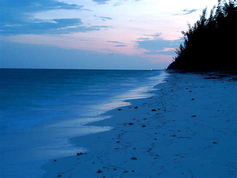our surprising world bahams beach beautiful bahamas