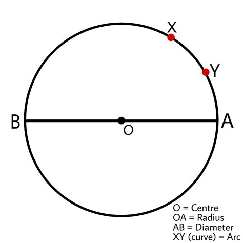draw  circle    centre  radius  diameter  arc brainlyin