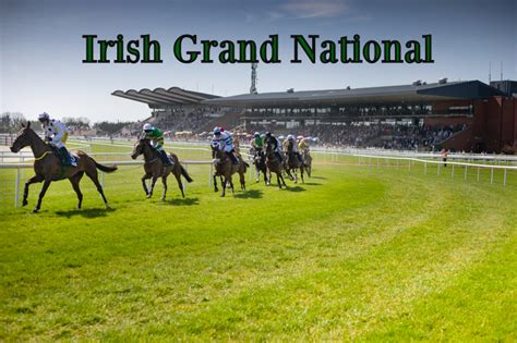 irish grand national  results runners prize money world  horses