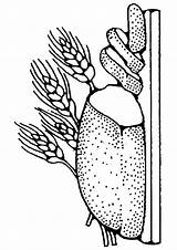 Brot Kommunion Malvorlagen ähnliche Kategorien Bildergebnis sketch template