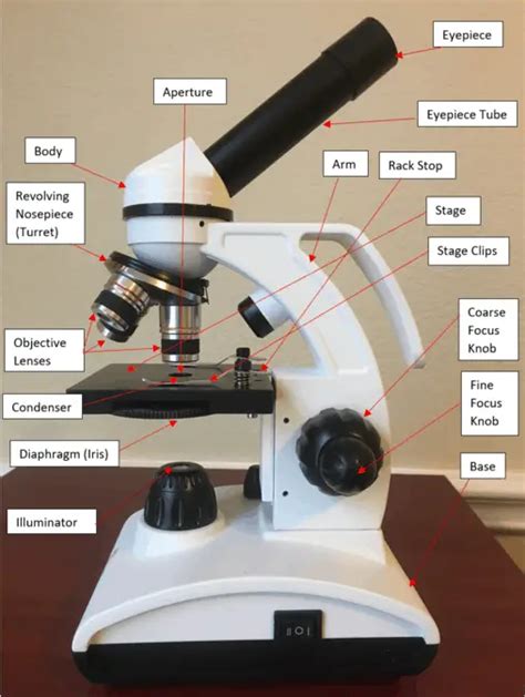 parts   compound microscope diagrams  video microscope clarity