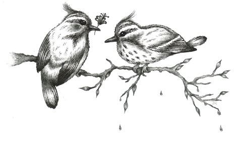 vogels tekening google zoeken vogels tekenen tekenen leuke tekening