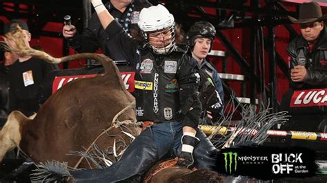 new york pbr major carries significant amount of points