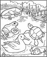 Pond Animals Frecklebox sketch template
