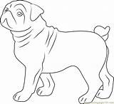 Coloring Dog Bull Cute Pages Coloringpages101 sketch template