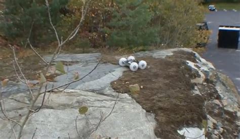 Tisotit Sand Flea Jumping Robot Video