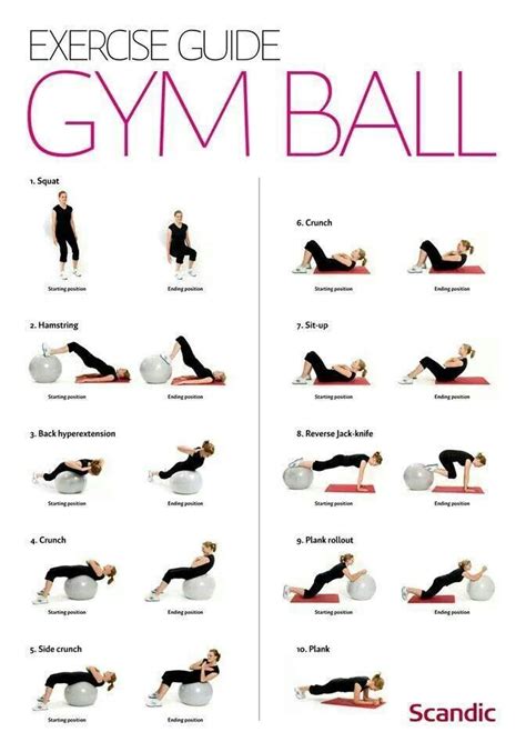 bal oefeninge gym ball workout guide ball exercises