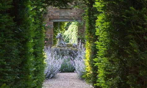 page garden  cothay manor
