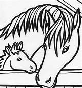 Shetland Pony Realistic sketch template