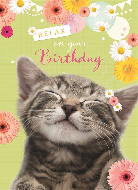kaarten verjaardag vrouw classics  hallmark cats happy birthday   birthday