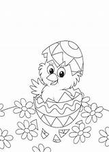 Colorare Pulcini Pasqua Disegni Pasquali Pianetabambini Animali sketch template