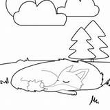 Coloring Sleeping Fox Template sketch template