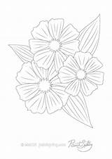 Flower Coloring Adult Cosmos Book Printable Reserved Rights 2021 sketch template