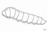 Caterpillar Coloring Pages Drawing sketch template