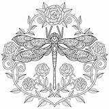 Coloring Rose Dragonfly Vector Book Heart Premium Drawn Sketch Illustration Hand Adult sketch template
