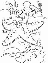 Reef Coral Coloring Pages Starfish Fish Color Drawing Easy Print Kids Printable Sea Sheets Animal Great Tropical Ocean Shells Mosaics sketch template