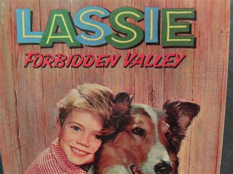 Lassie Forbidden Valley 1959 Whitman Book By Doris Schroeder Etsy Uk
