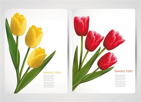 flowers cards vector template