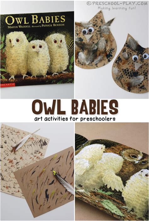 owl babies art activities preschool art projects baby owls owl