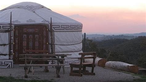 airbnb declares   year   yurt   reveals   popular holiday accommodation