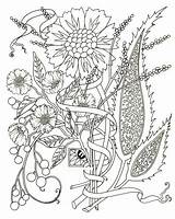 Coloring Adults Pages Adult Flower Flowers Pdf Paisley Printable Color Spring Drawing Abstract Print Cynthia Kids Crazy Floral Colouring Only sketch template