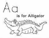 Alligator Coloring Pages Letter Printable Kids Crocodile Template Tracing Sheets Print Trace Preschool Color Lawteedah Sheet Alligators Baby Activity Worksheets sketch template