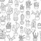 Succulents Potted Clipground sketch template