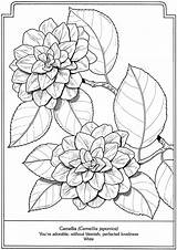 Coloring Pages Dover Publications Flower Welcome Flowers Para Colorir Doverpublications Book Adults Adult Printable Adultos Embroidery Language Indulgy Stained Glass sketch template