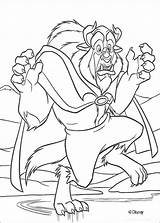 Coloring Disney Beauty Pages Beast sketch template