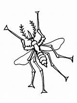 Mosquito Insect Primavera Coloringbay Artropodos sketch template