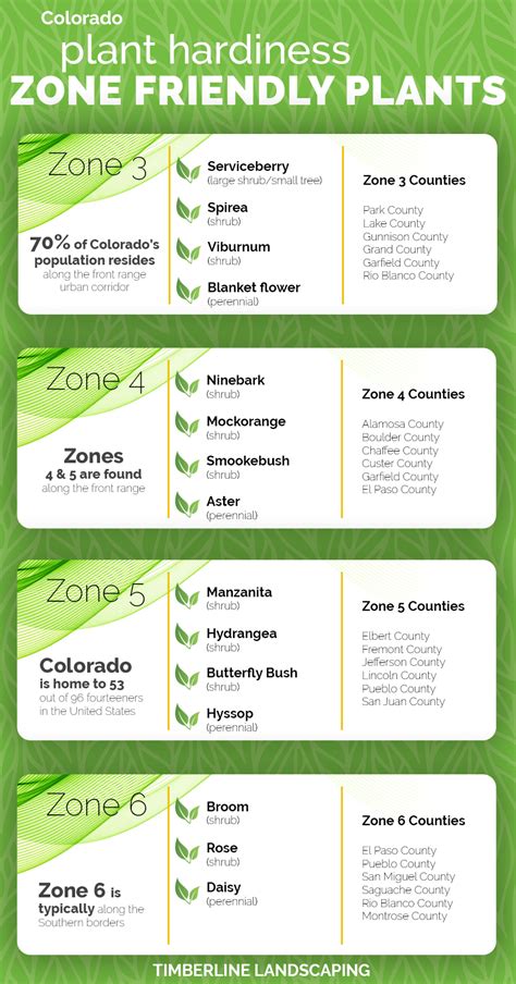 colorado plant hardiness zone friendly plants timberline landscaping