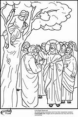 Zacchaeus Coloring Text sketch template