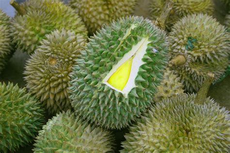 exotic fruits  indonesia health benefits  fruit