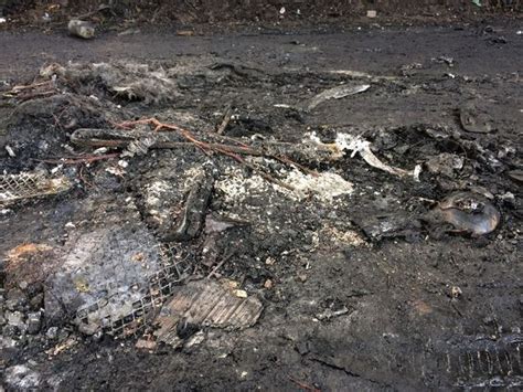 heres  charred remains   car destroyed  arson attack devon