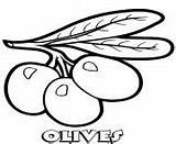 Coloring Pages Vegetable Olives sketch template