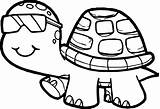 Turtle Eared Slider sketch template