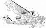 Catalina Pby Consolidated Cutaway Drawing Drawings Aircraft Seaplane Conceptbunny sketch template