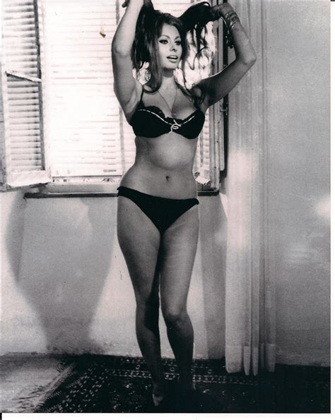 Sophia Loren In Sexy Bra And Panties 8x10 Photo Hands In Hair At Amazon S