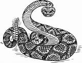Rattlesnake Openclipart Geeksvgs Pluspng sketch template