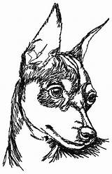Pinscher Miniature Drawing Mini Dog Pincher Desenho Min Cachorro Drawings Dogs Perro Quilts Zwergpinscher Sketches Animal Doberman Breeds Ideias Miniatura sketch template