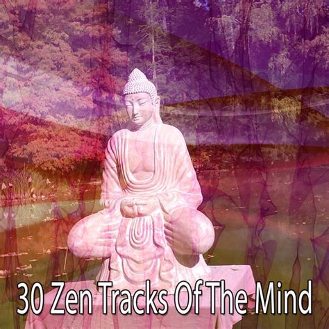 Album 30 Zen Tracks Of The Mind Zen Meditation And Natural White Noise