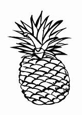Pineapple Ananas Hawaiian Coloriage Clipartmag Noel Luxe Piña Cayenne sketch template