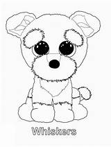Beanie Boo Whiskers Pages Coloring Categories Printable Kids sketch template
