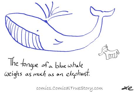 true story blue whale tongue