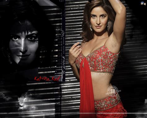 Hot Sexy Spicy Wallpapers Katrina Kaif A Beautiful Diva Of Bollywood
